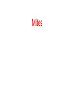 Mites is the topic of parasitology