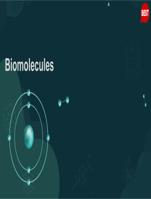 3)Biomolecules   Notes     Pictures    Diagrams     Descriptions