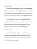 The importance of ethical, cultural, and professional relationships when implementing organizational change