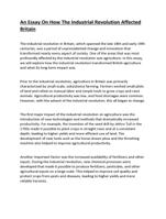 A History Essay On How The Industrial Revolution Affected Britain