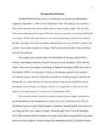 An Overview of the Buncefield Oil Disaster