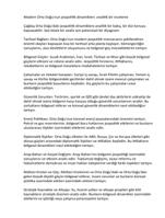 Modern Orta Dou'nun jeopolitik dinamikleri: analitik bir inceleme (10 essays)