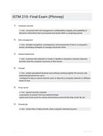 ISTM 210- Final Exam (Phinney)