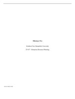 Milestone FiveSouthern New Hampshire University IT 657:  Ent