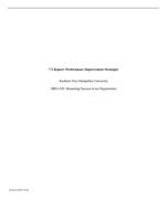 7-2 Report: Performance Improvement StrategiesSouthern New H