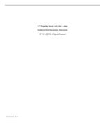 5-2 Stepping Stone Lab Four: LoopsSouthern New Hampshire Uni