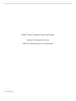Module 7 Report: Performance Improvement StrategySouthern Ne