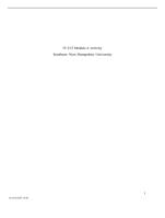 IT-313 Module 6 ActivitySouthern New Hampshire University1 0