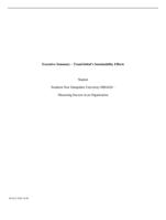 Executive Summary  TransGlobals Sustainability Efforts