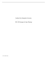 Southern New Hampshire University IND- 299 Strategies for Sp