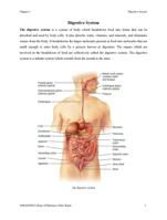 What is the function and structure of the Digestive system