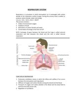Learn about Respiratory  system