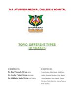 Different types of snakes in the world