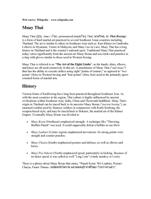 "Muay Thai" all the techniques are included