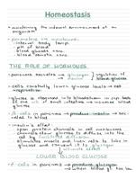 Homeostasis IB Biology HL notes