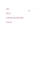 Full anatomy and physiology note on renal system for nursing students