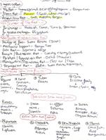 Topper choice notes morpho of flowering plant (Class 11 NEET Biology)
