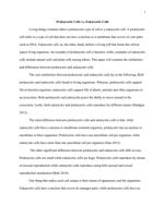 BIOLOGY 130 PART II: ESSAYDirections: Write a 1 to 2  page,